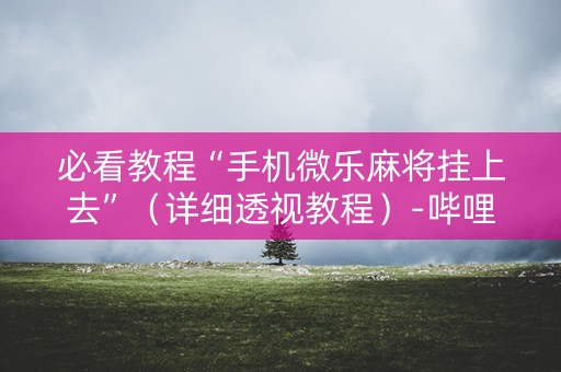 必看教程“手机微乐麻将挂上去”（详细透视教程）-哔哩哔哩