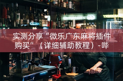 实测分享“微乐广东麻将插件购买”（详细辅助教程）-哔哩哔哩