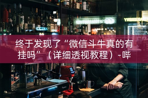 终于发现了“微信斗牛真的有挂吗”（详细透视教程）-哔哩哔哩