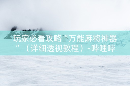 玩家必看攻略“万能麻将神器”（详细透视教程）-哔哩哔哩