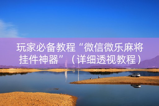 玩家必备教程“微信微乐麻将挂件神器”（详细透视教程）-哔哩哔哩