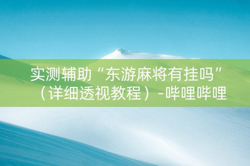 实测辅助“东游麻将有挂吗”（详细透视教程）-哔哩哔哩