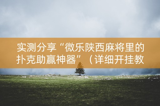 实测分享“微乐陕西麻将里的扑克助赢神器”（详细开挂教程）-哔哩哔哩