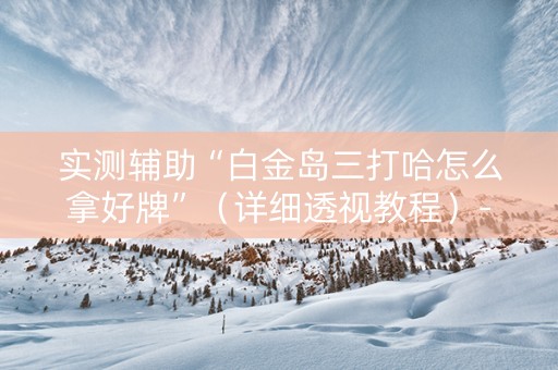 实测辅助“白金岛三打哈怎么拿好牌”（详细透视教程）-哔哩哔哩
