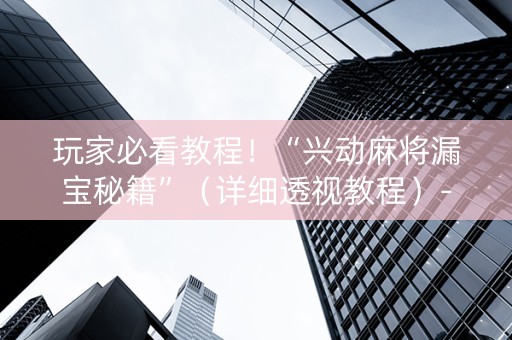 玩家必看教程！“兴动麻将漏宝秘籍”（详细透视教程）-哔哩哔哩