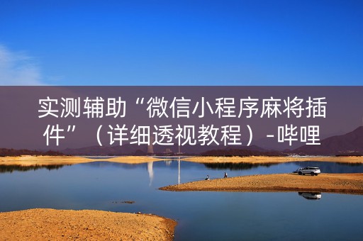 实测辅助“微信小程序麻将插件”（详细透视教程）-哔哩哔哩