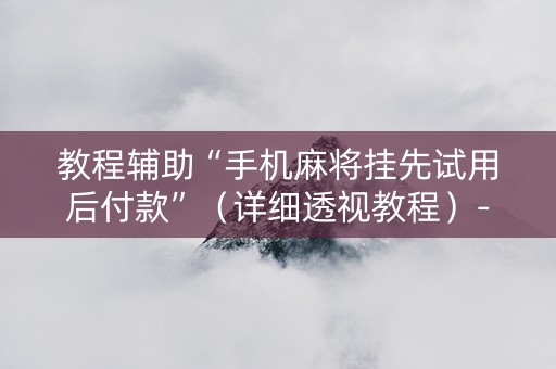教程辅助“手机麻将挂先试用后付款”（详细透视教程）-哔哩哔哩