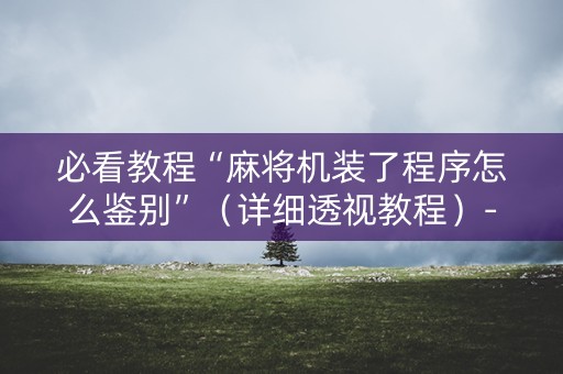 必看教程“麻将机装了程序怎么鉴别”（详细透视教程）-哔哩哔哩