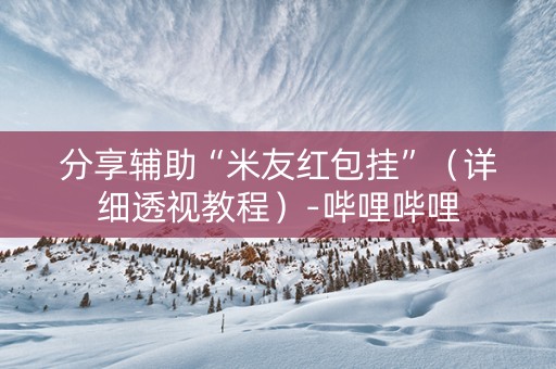 分享辅助“米友红包挂”（详细透视教程）-哔哩哔哩