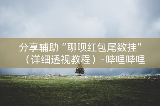 分享辅助“聊呗红包尾数挂”（详细透视教程）-哔哩哔哩