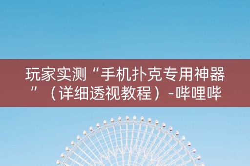 玩家实测“手机扑克专用神器”（详细透视教程）-哔哩哔哩
