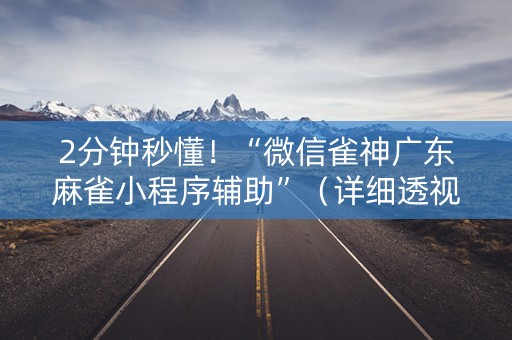 2分钟秒懂！“微信雀神广东麻雀小程序辅助”（详细透视教程）-哔哩哔哩