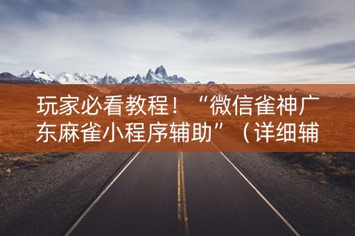 玩家必看教程！“微信雀神广东麻雀小程序辅助”（详细辅助教程）-哔哩哔哩