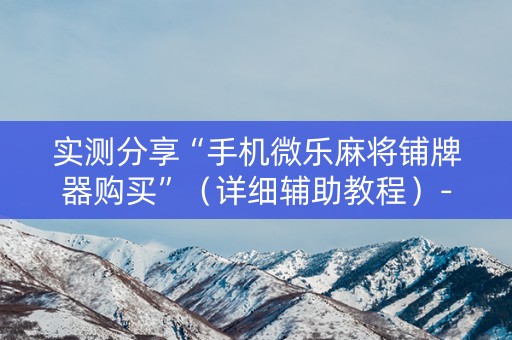 实测分享“手机微乐麻将铺牌器购买”（详细辅助教程）-哔哩哔哩