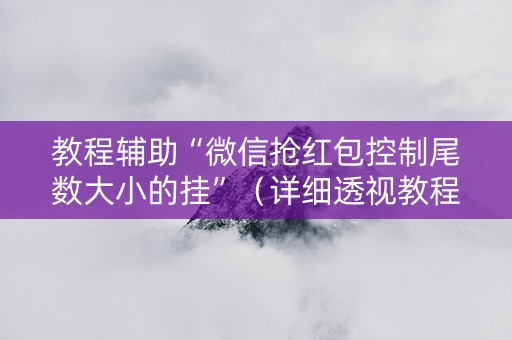 教程辅助“微信抢红包控制尾数大小的挂”（详细透视教程）-哔哩哔哩