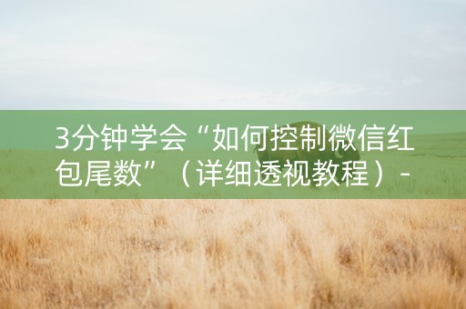 3分钟学会“如何控制微信红包尾数”（详细透视教程）-哔哩哔哩