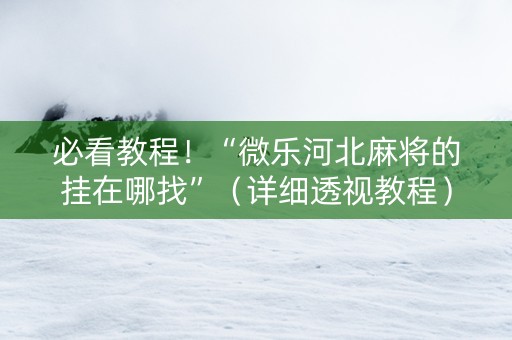 必看教程！“微乐河北麻将的挂在哪找”（详细透视教程）-哔哩哔哩