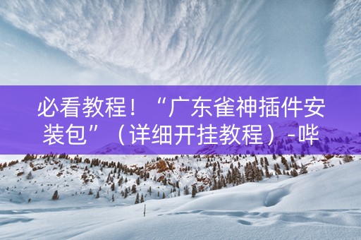 必看教程！“广东雀神插件安装包”（详细开挂教程）-哔哩哔哩