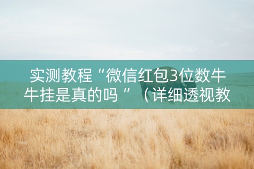 实测教程“微信红包3位数牛牛挂是真的吗 ”（详细透视教程）-哔哩哔哩