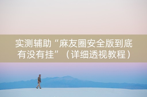 实测辅助“麻友圈安全版到底有没有挂”（详细透视教程）-哔哩哔哩