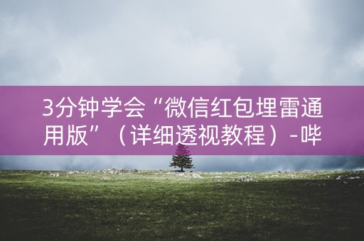 3分钟学会“微信红包埋雷通用版”（详细透视教程）-哔哩哔哩