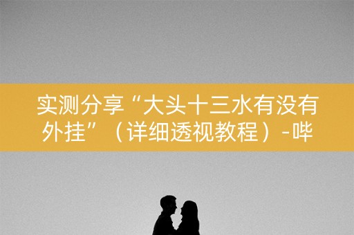 实测分享“大头十三水有没有外挂”（详细透视教程）-哔哩哔哩