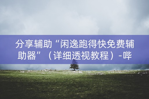 分享辅助“闲逸跑得快免费辅助器”（详细透视教程）-哔哩哔哩