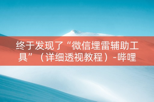 终于发现了“微信埋雷辅助工具”（详细透视教程）-哔哩哔哩