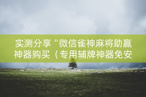 实测分享“微信雀神麻将助赢神器购买（专用辅牌神器免安装）