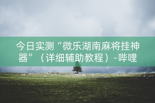 今日实测“微乐湖南麻将挂神器”（详细辅助教程）-哔哩哔哩