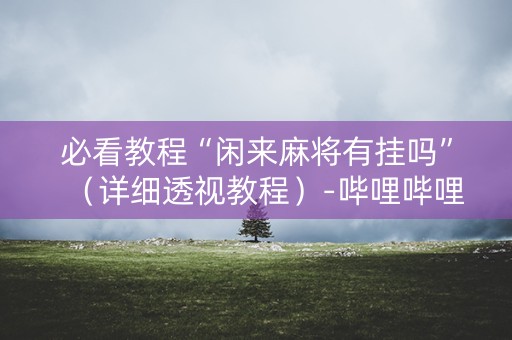 必看教程“闲来麻将有挂吗”（详细透视教程）-哔哩哔哩