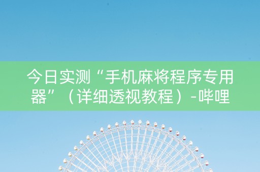 今日实测“手机麻将程序专用器”（详细透视教程）-哔哩哔哩