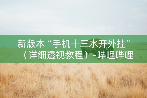 新版本“手机十三水开外挂”（详细透视教程）-哔哩哔哩