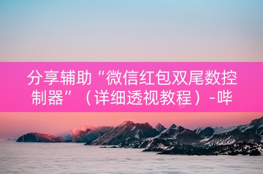 分享辅助“微信红包双尾数控制器”（详细透视教程）-哔哩哔哩