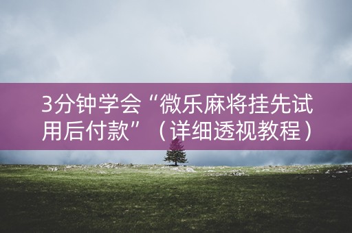 3分钟学会“微乐麻将挂先试用后付款”（详细透视教程）-哔哩哔哩