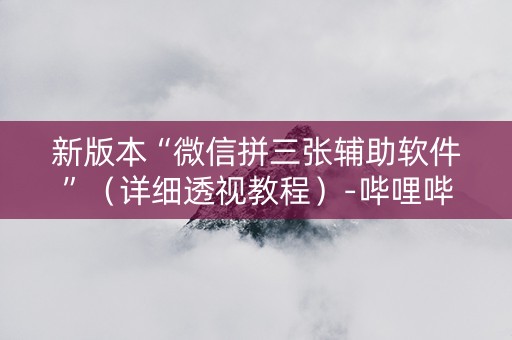 新版本“微信拼三张辅助软件”（详细透视教程）-哔哩哔哩