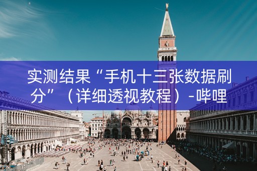 实测结果“手机十三张数据刷分”（详细透视教程）-哔哩哔哩