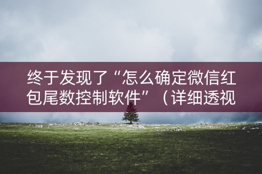 终于发现了“怎么确定微信红包尾数控制软件”（详细透视教程）-哔哩哔哩