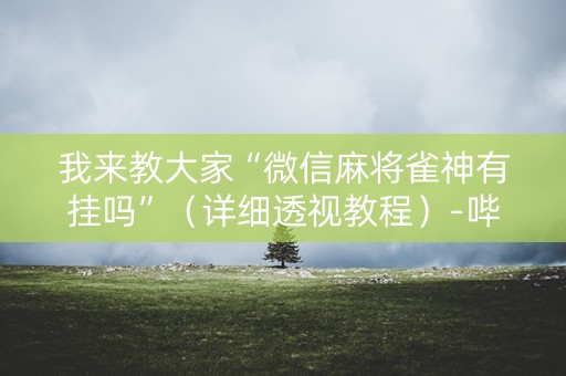 我来教大家“微信麻将雀神有挂吗”（详细透视教程）-哔哩哔哩