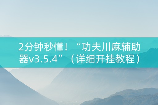 2分钟秒懂！“功夫川麻辅助器v3.5.4”（详细开挂教程）-哔哩哔哩