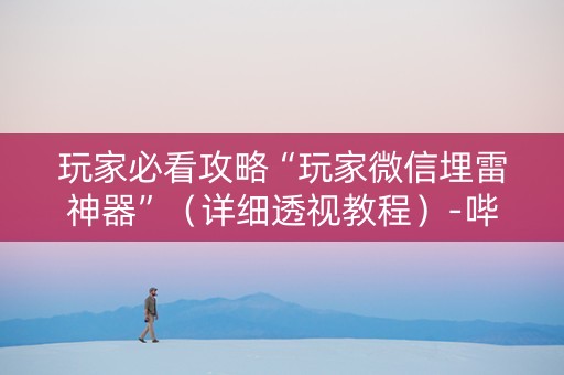 玩家必看攻略“玩家微信埋雷神器”（详细透视教程）-哔哩哔哩