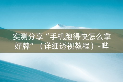实测分享“手机跑得快怎么拿好牌”（详细透视教程）-哔哩哔哩