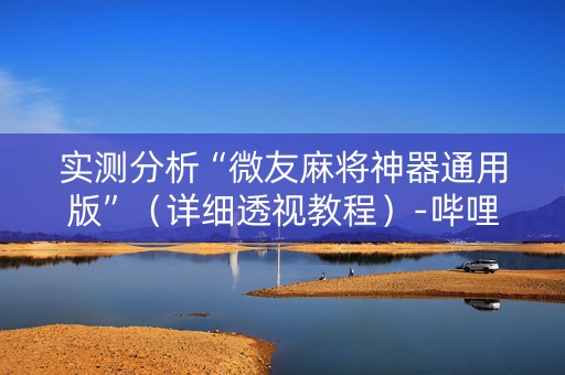 实测分析“微友麻将神器通用版”（详细透视教程）-哔哩哔哩