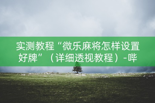 实测教程“微乐麻将怎样设置好牌”（详细透视教程）-哔哩哔哩