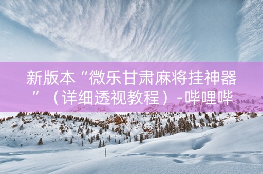 新版本“微乐甘肃麻将挂神器”（详细透视教程）-哔哩哔哩