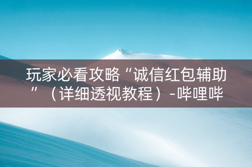 玩家必看攻略“诚信红包辅助”（详细透视教程）-哔哩哔哩