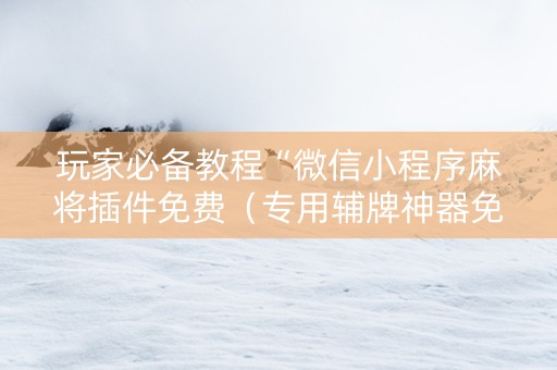 玩家必备教程“微信小程序麻将插件免费（专用辅牌神器免安装）