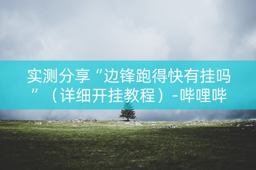 实测分享“边锋跑得快有挂吗”（详细开挂教程）-哔哩哔哩