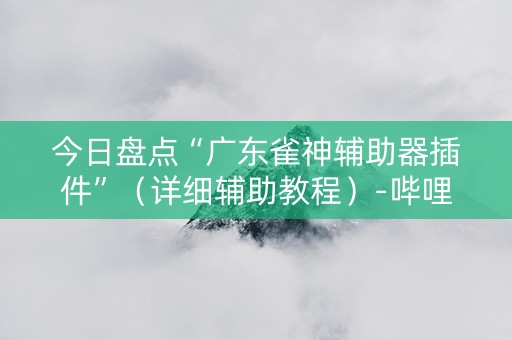 今日盘点“广东雀神辅助器插件”（详细辅助教程）-哔哩哔哩