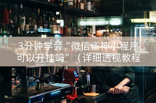 3分钟学会“微信雀神小程序可以开挂吗”（详细透视教程）-哔哩哔哩